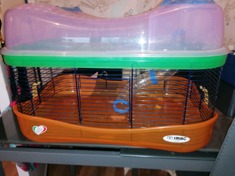 imac hamster cage